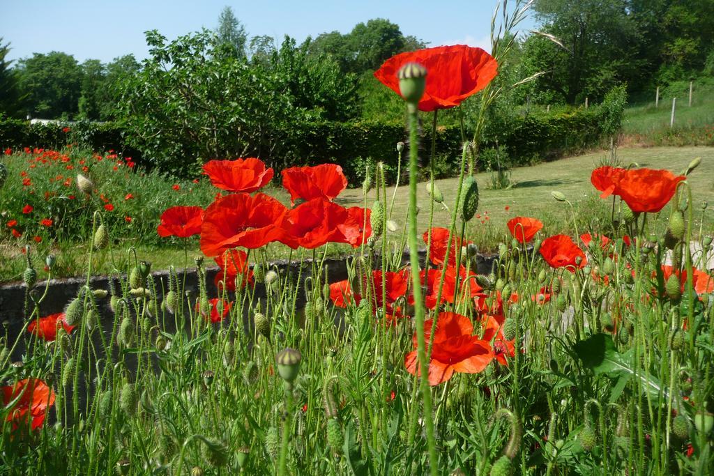 Maison D'Hotes Les Coquelicots Giverny Exterior photo